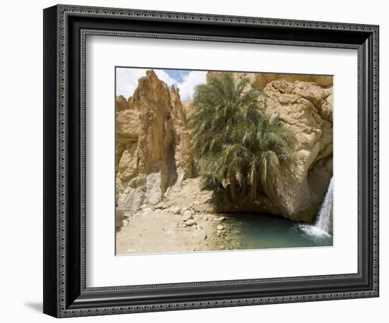 Desert Oasis, Chebika, Tunisia, North Africa, Africa-Ethel Davies-Framed Photographic Print