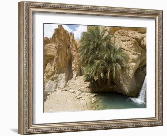 Desert Oasis, Chebika, Tunisia, North Africa, Africa-Ethel Davies-Framed Photographic Print
