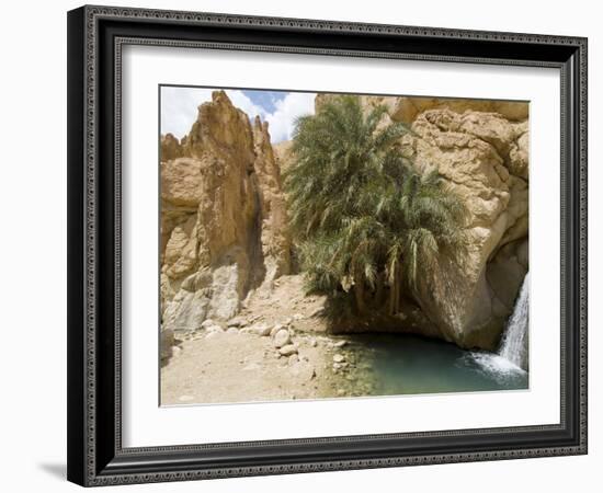 Desert Oasis, Chebika, Tunisia, North Africa, Africa-Ethel Davies-Framed Photographic Print