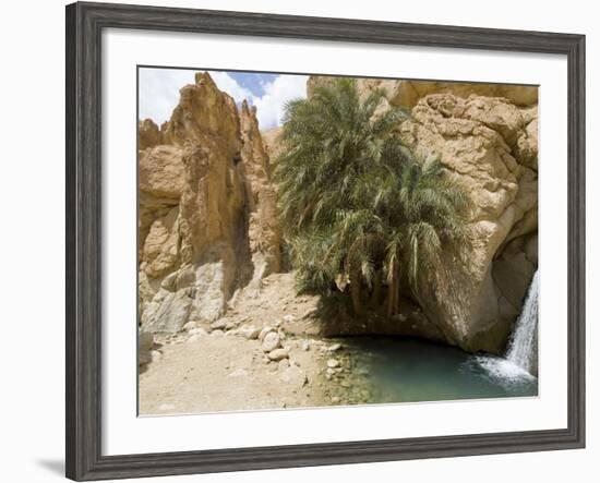 Desert Oasis, Chebika, Tunisia, North Africa, Africa-Ethel Davies-Framed Photographic Print