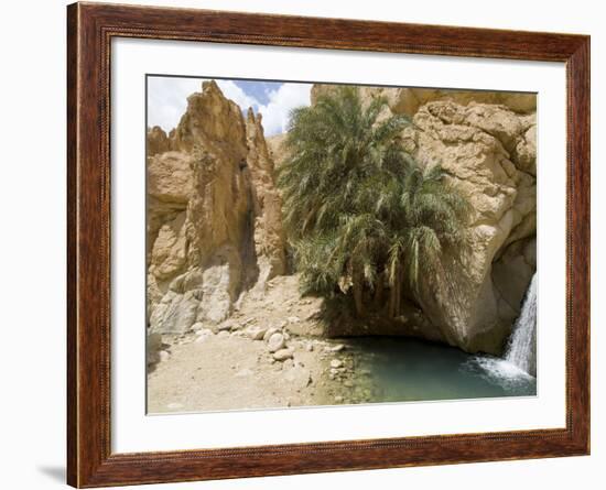 Desert Oasis, Chebika, Tunisia, North Africa, Africa-Ethel Davies-Framed Photographic Print