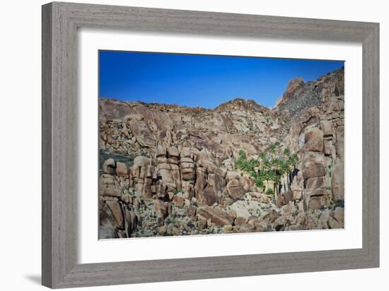 Desert Oasis-Janice Sullivan-Framed Giclee Print
