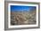 Desert Oasis-Janice Sullivan-Framed Giclee Print