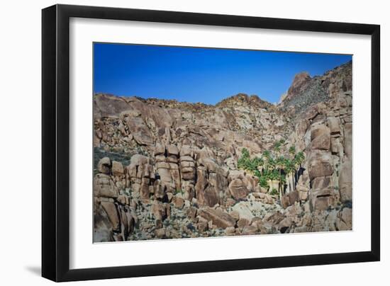 Desert Oasis-Janice Sullivan-Framed Giclee Print