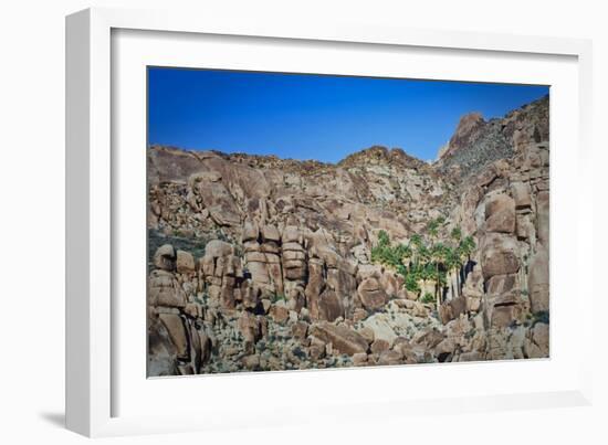 Desert Oasis-Janice Sullivan-Framed Giclee Print