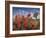 Desert Paintbrush Blooming in Front of Joshua Tree, Mojave National Preserve, California, Usa-Rob Sheppard-Framed Photographic Print