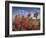 Desert Paintbrush Blooming in Front of Joshua Tree, Mojave National Preserve, California, Usa-Rob Sheppard-Framed Photographic Print