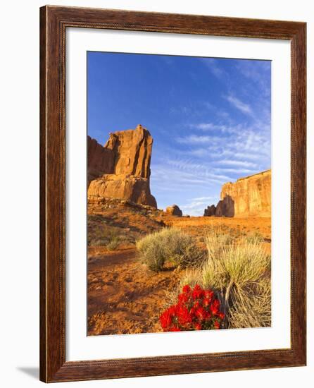 Desert Paintbrush Livens Up the Landscape Near Courthouse Towers in Arches National Park, Utah, Usa-Chuck Haney-Framed Photographic Print