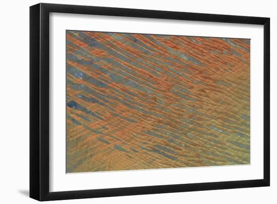Desert Patterns I-Alicia Ludwig-Framed Art Print