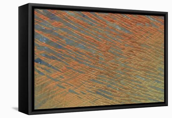 Desert Patterns I-Alicia Ludwig-Framed Stretched Canvas