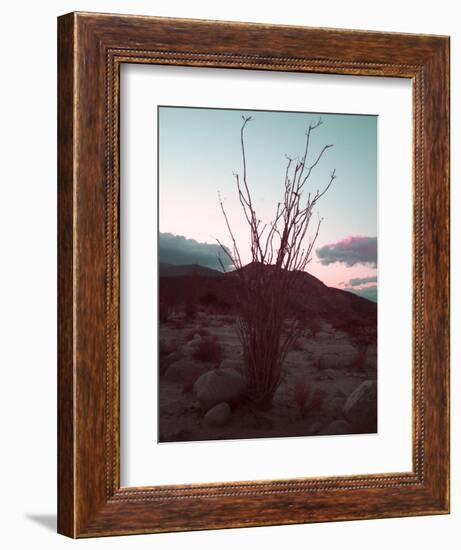 Desert Plants And Sunset-NaxArt-Framed Premium Giclee Print