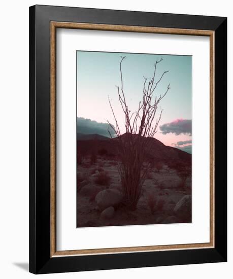 Desert Plants And Sunset-NaxArt-Framed Premium Giclee Print