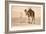 Desert Prayer, Bedouin and Camel-null-Framed Art Print