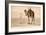 Desert Prayer, Bedouin and Camel-null-Framed Art Print