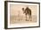 Desert Prayer, Bedouin and Camel-null-Framed Premium Giclee Print