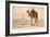 Desert Prayer, Bedouin and Camel-null-Framed Premium Giclee Print