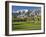 Desert Princess Golf Course and Mountains, Palm Springs, California, USA-Walter Bibikow-Framed Photographic Print