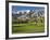 Desert Princess Golf Course and Mountains, Palm Springs, California, USA-Walter Bibikow-Framed Photographic Print