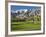 Desert Princess Golf Course and Mountains, Palm Springs, California, USA-Walter Bibikow-Framed Photographic Print