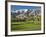 Desert Princess Golf Course and Mountains, Palm Springs, California, USA-Walter Bibikow-Framed Photographic Print