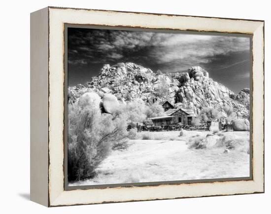 Desert Queen Ranch, Joshua Tree National Park, California, USA-Janell Davidson-Framed Premier Image Canvas