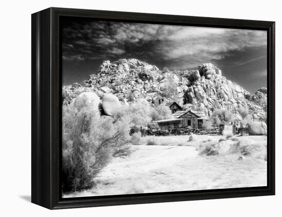 Desert Queen Ranch, Joshua Tree National Park, California, USA-Janell Davidson-Framed Premier Image Canvas