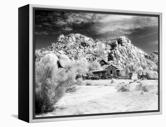 Desert Queen Ranch, Joshua Tree National Park, California, USA-Janell Davidson-Framed Premier Image Canvas