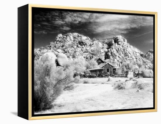 Desert Queen Ranch, Joshua Tree National Park, California, USA-Janell Davidson-Framed Premier Image Canvas