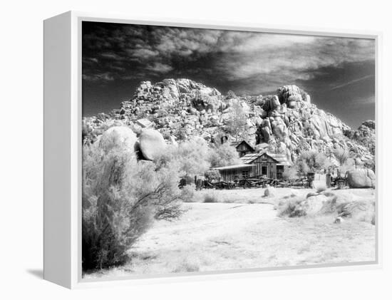 Desert Queen Ranch, Joshua Tree National Park, California, USA-Janell Davidson-Framed Premier Image Canvas