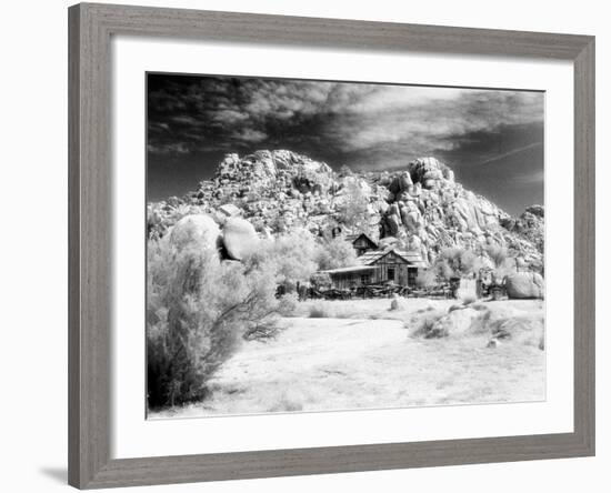 Desert Queen Ranch, Joshua Tree National Park, California, USA-Janell Davidson-Framed Photographic Print