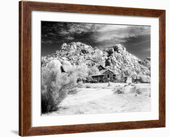 Desert Queen Ranch, Joshua Tree National Park, California, USA-Janell Davidson-Framed Photographic Print