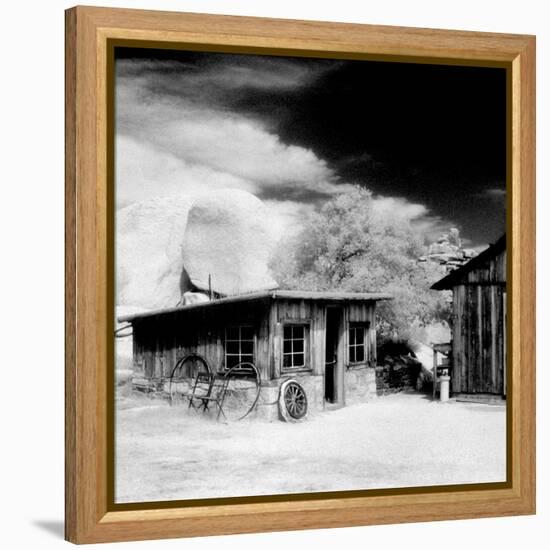 Desert Queen Ranch, Joshua Tree National Park, California, USA-Janell Davidson-Framed Premier Image Canvas