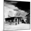 Desert Queen Ranch, Joshua Tree National Park, California, USA-Janell Davidson-Mounted Photographic Print