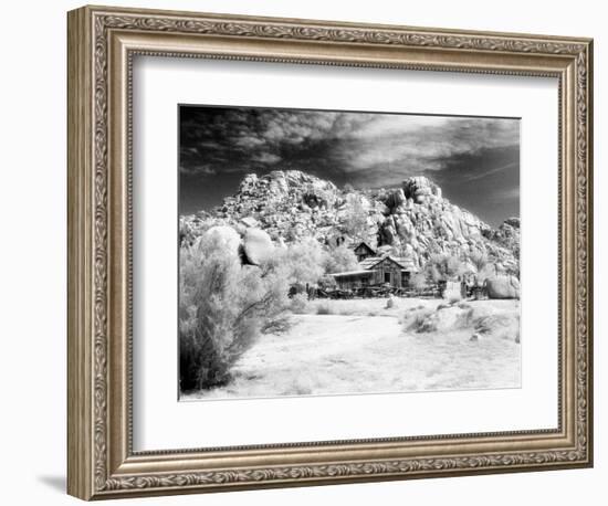 Desert Queen Ranch, Joshua Tree National Park, California, USA-Janell Davidson-Framed Photographic Print