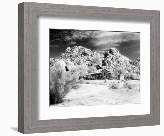 Desert Queen Ranch, Joshua Tree National Park, California, USA-Janell Davidson-Framed Photographic Print