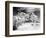 Desert Queen Ranch, Joshua Tree National Park, California, USA-Janell Davidson-Framed Photographic Print