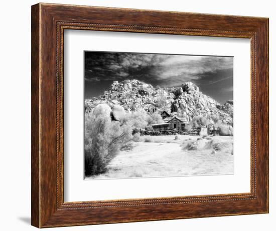 Desert Queen Ranch, Joshua Tree National Park, California, USA-Janell Davidson-Framed Photographic Print