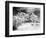 Desert Queen Ranch, Joshua Tree National Park, California, USA-Janell Davidson-Framed Photographic Print