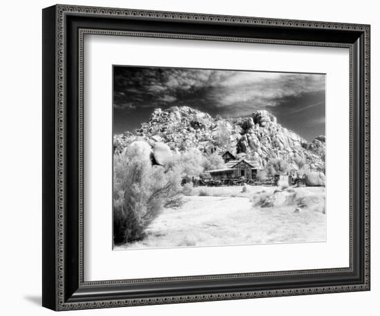 Desert Queen Ranch, Joshua Tree National Park, California, USA-Janell Davidson-Framed Photographic Print