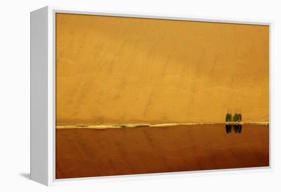 Desert reflection. Badain Jaran Desert, Inner Mongolia, China.-Ellen Anon-Framed Premier Image Canvas
