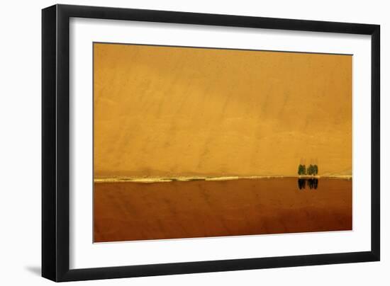 Desert reflection. Badain Jaran Desert, Inner Mongolia, China.-Ellen Anon-Framed Photographic Print