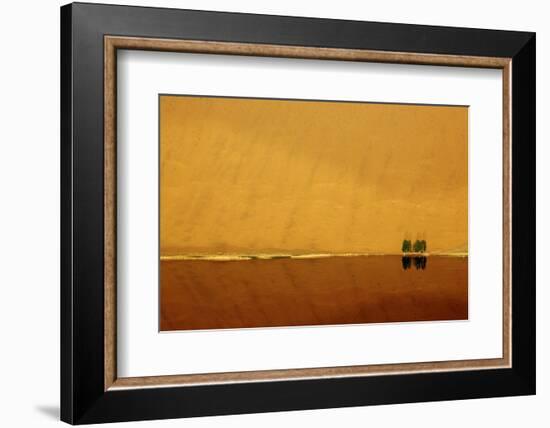 Desert reflection. Badain Jaran Desert, Inner Mongolia, China.-Ellen Anon-Framed Photographic Print