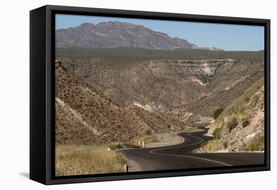 Desert road near Santa Rosalia, Baja California, Mexico, North America-Tony Waltham-Framed Premier Image Canvas