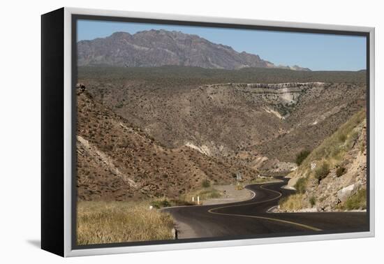 Desert road near Santa Rosalia, Baja California, Mexico, North America-Tony Waltham-Framed Premier Image Canvas