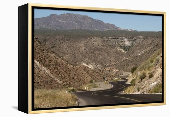 Desert road near Santa Rosalia, Baja California, Mexico, North America-Tony Waltham-Framed Premier Image Canvas