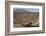 Desert road near Santa Rosalia, Baja California, Mexico, North America-Tony Waltham-Framed Photographic Print