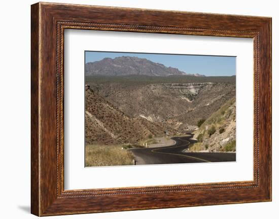 Desert road near Santa Rosalia, Baja California, Mexico, North America-Tony Waltham-Framed Photographic Print
