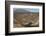 Desert road near Santa Rosalia, Baja California, Mexico, North America-Tony Waltham-Framed Photographic Print