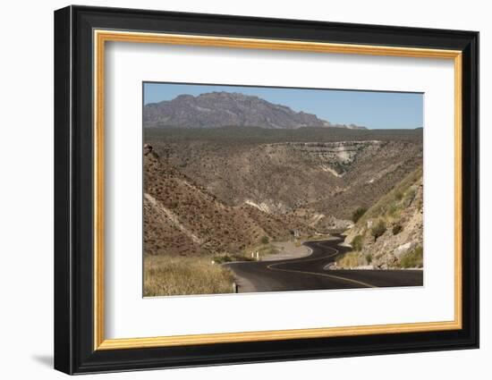 Desert road near Santa Rosalia, Baja California, Mexico, North America-Tony Waltham-Framed Photographic Print