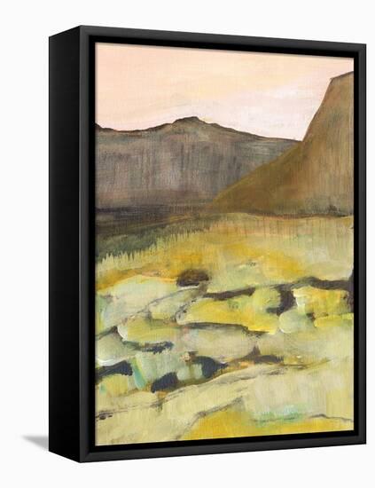Desert Road Trip III-Jodi Fuchs-Framed Stretched Canvas